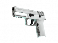 P250 Whiteout